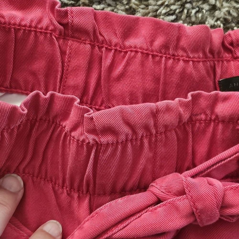Ann Taylor Factory Belted High Rise Ankle Pants Red Size 10 - Picture 6 of 9